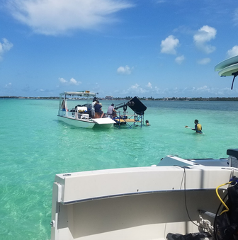 Enlarge photo 30
