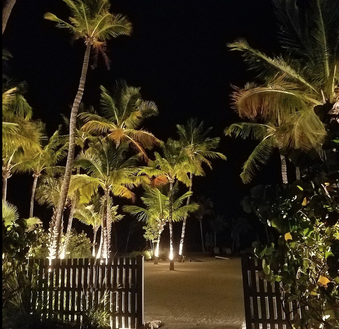 Enlarge photo 42