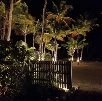 Enlarge photo 43
