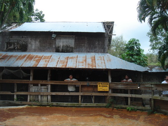 Enlarge photo 24