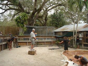 Enlarge photo 26
