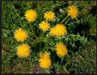 Enlarge photo 12