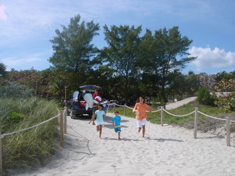 Enlarge photo 175