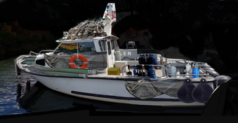 Enlarge photo 65