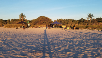 Enlarge photo 14