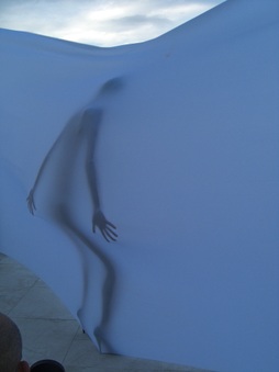 Enlarge photo 47
