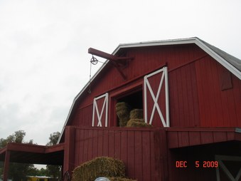 Enlarge photo 11