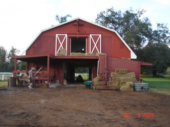 Enlarge photo 32