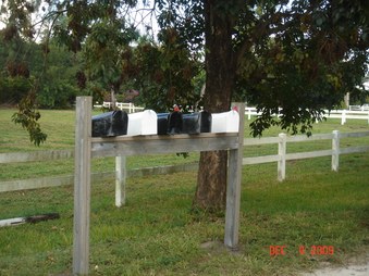 Enlarge photo 30