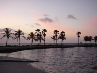 Enlarge photo 56