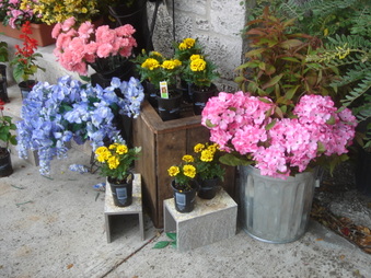 Enlarge photo 13