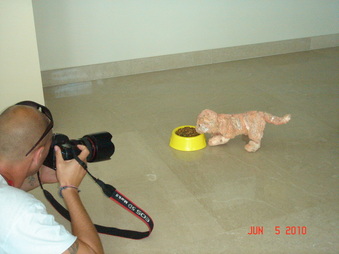Enlarge photo 45