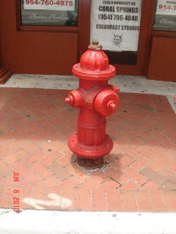 Enlarge photo 51