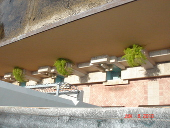 Enlarge photo 65