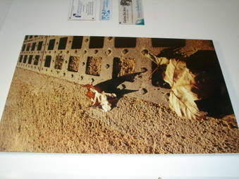 Enlarge photo 80