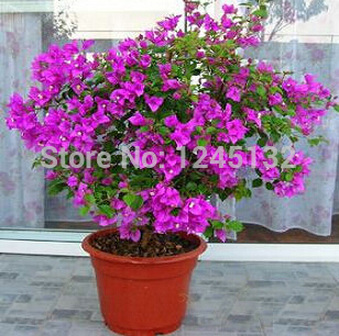 Enlarge photo 136