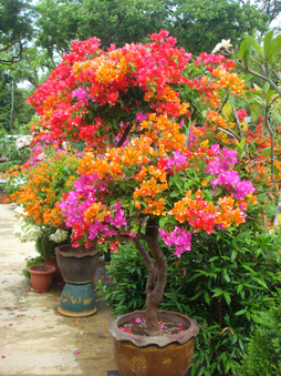 Enlarge photo 134