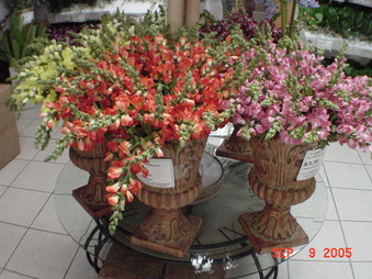 Enlarge photo 62