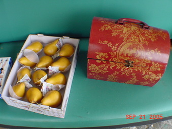 Enlarge photo 115