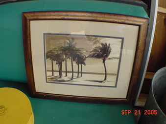 Enlarge photo 111