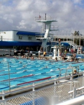 Enlarge photo 53