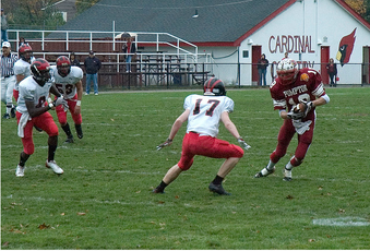 Enlarge photo 155