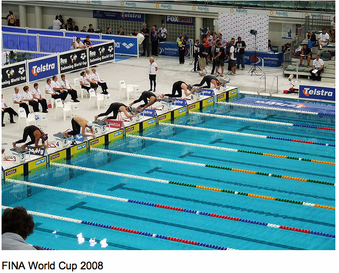 Enlarge photo 72