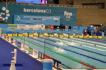 Enlarge photo 58