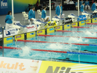 Enlarge photo 64