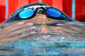 Enlarge photo 69