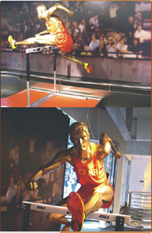 Enlarge photo 238