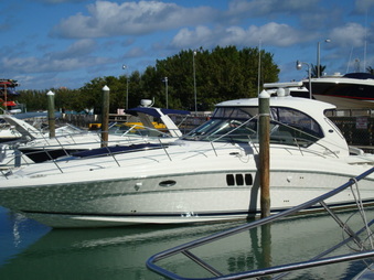 Enlarge photo 58