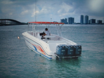 Enlarge photo 42