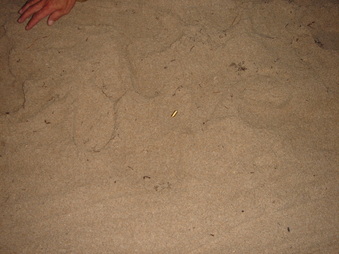 Enlarge photo 18