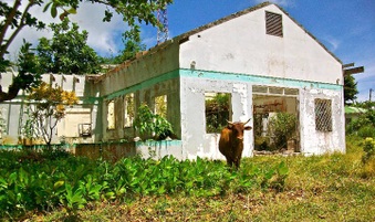 Enlarge photo 18
