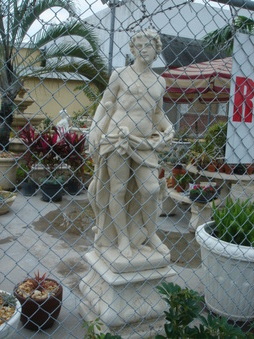 Enlarge photo 62