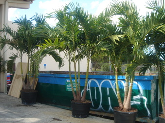 Enlarge photo 25