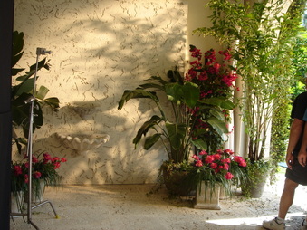 Enlarge photo 193