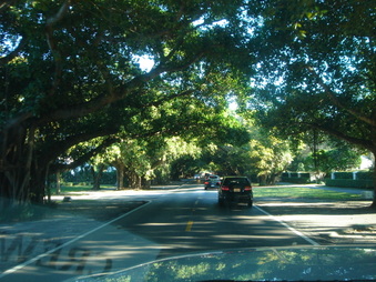 Enlarge photo 237