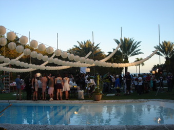 Enlarge photo 260