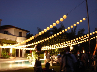 Enlarge photo 269