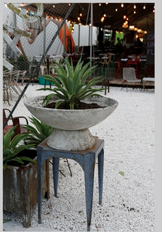 Enlarge photo 115