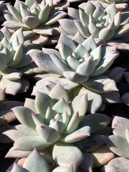 Enlarge photo 46