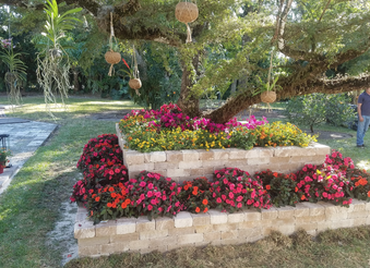Enlarge photo 116