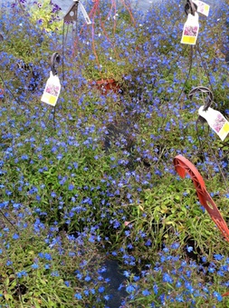 Enlarge photo 24