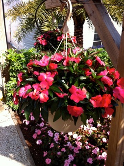 Enlarge photo 7