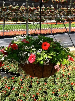 Enlarge photo 10