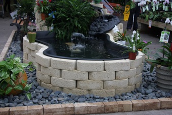 Enlarge photo 215