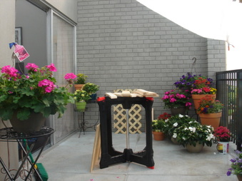 Enlarge photo 28