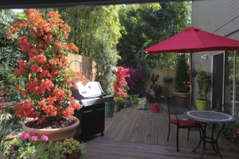 Enlarge photo 10